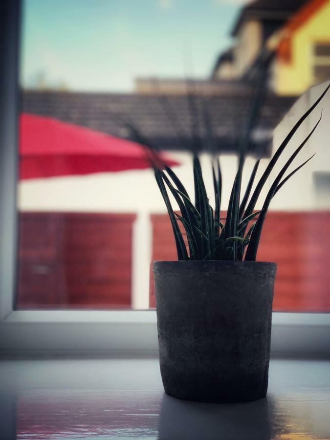 Paul's Place Near Heathrow Appartement *